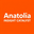 anatoliainsightcatalyst.digital favicon